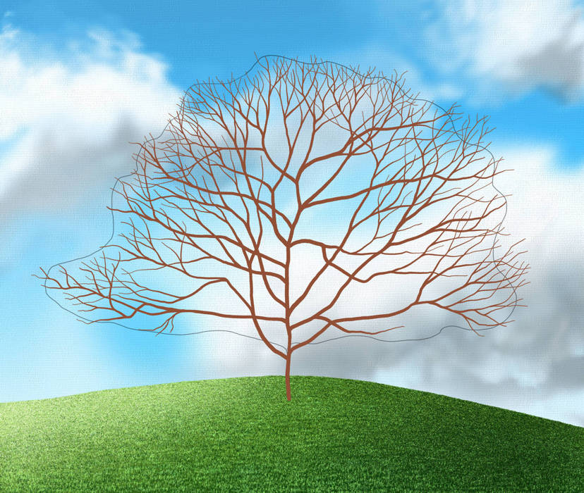 How to Paint a Tree - Add some offshoots around the outline of the tree