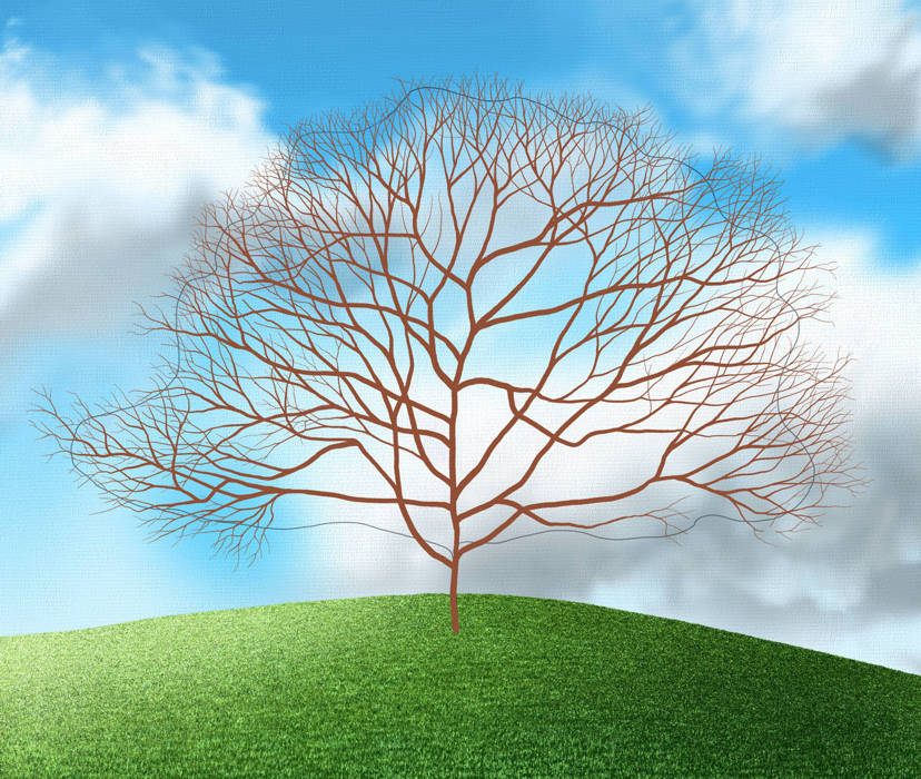 How to Paint a Tree - Add your finest brushstrokes around the outline