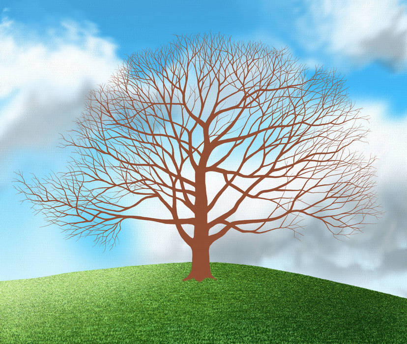 How to Paint a Tree - Thicken the trunk and branches, gradually tapering them towards the outline