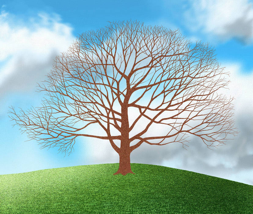 How to Paint a Tree - Add some texture to the bark