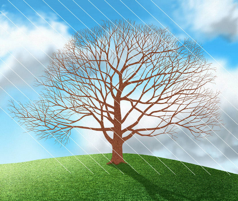 How to Paint a Tree - Set the direction and angle of the light